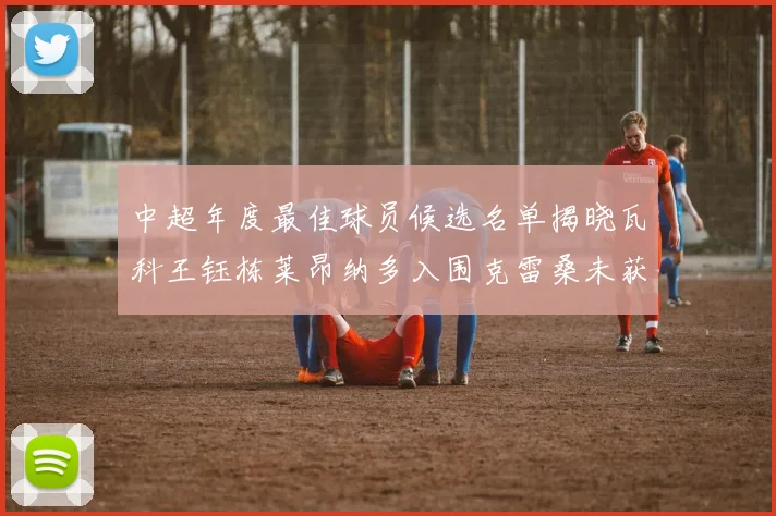 中超年度最佳球员候选名单揭晓瓦科王钰栋莱昂纳多入围克雷桑未获提名